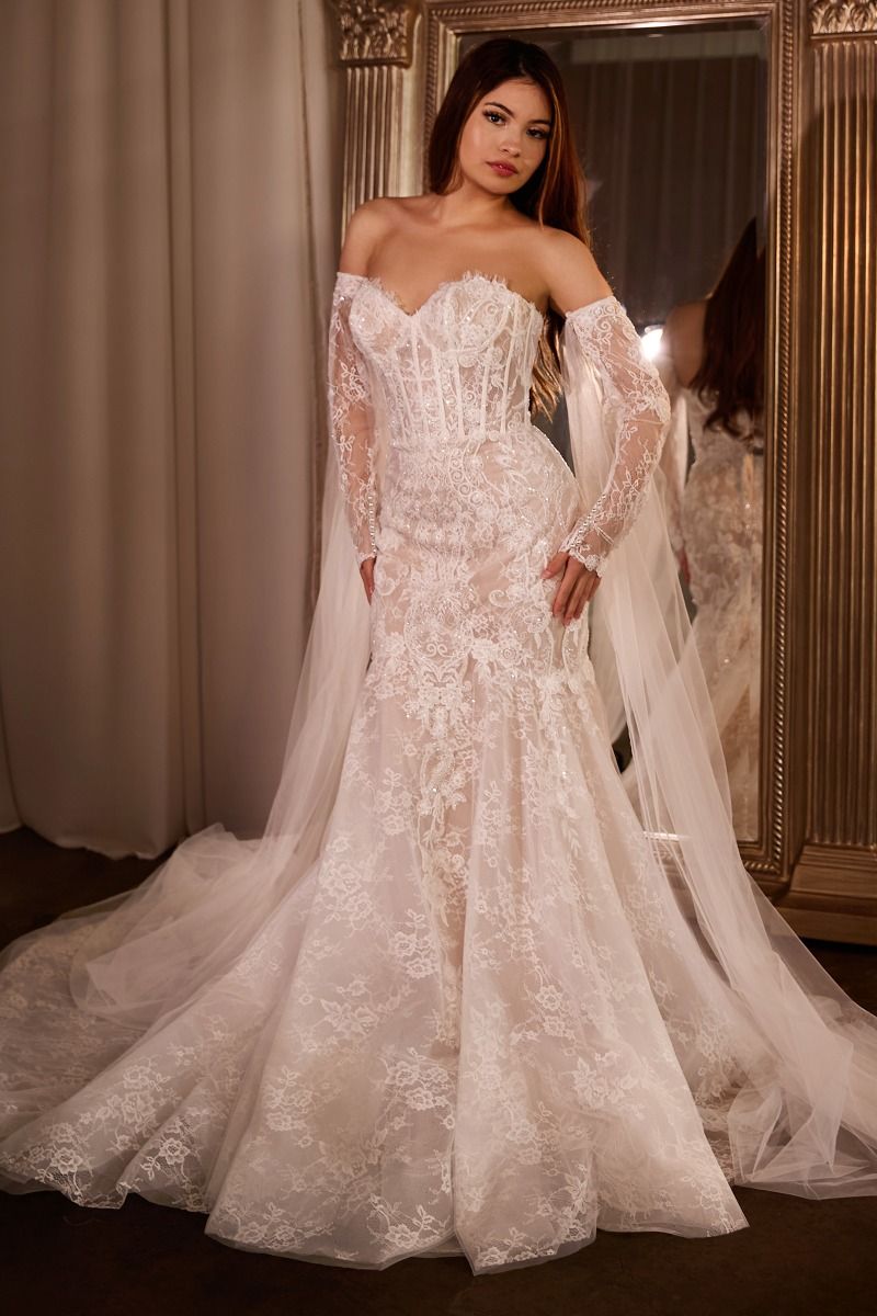 Fitted Lace Mermaid Gown With Sleeves - Vero.com