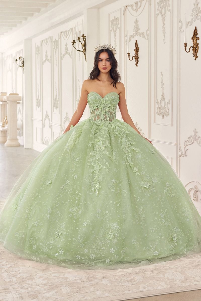 Floral Quinceanera Ball Gown With Cape - Vero.com 