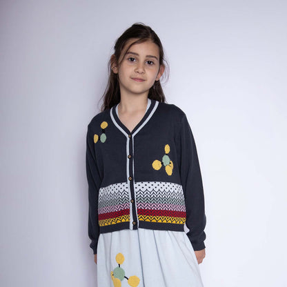 Grey Boys and Girls Cardigan with Hand Embroidery - Vero.com 