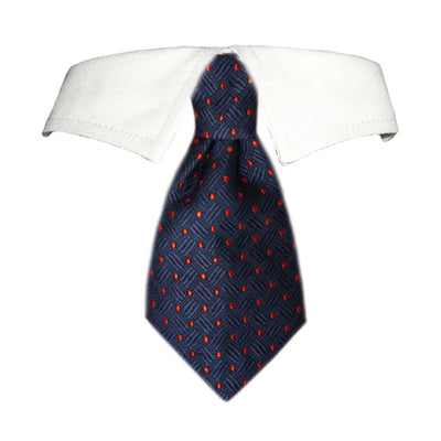 Colton Shirt Collar - Vero.com 