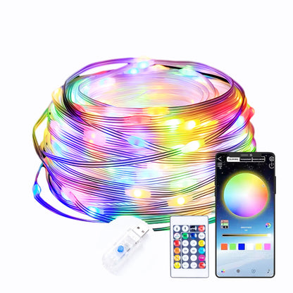 Holiday Smart String Lights 5m 10m 20m Remote APP Controller USB Fairy Led Lights Lighting for Room Wedding Christmas