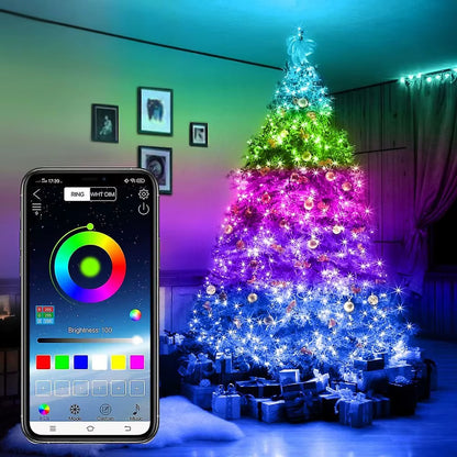 Multi-specification APP Controlled Christmas Lights Indoor USB Rechargeable LED Light Strings for Decar