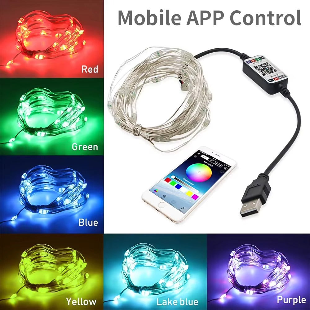Multi-specification APP Controlled Christmas Lights Indoor USB Rechargeable LED Light Strings for Decar