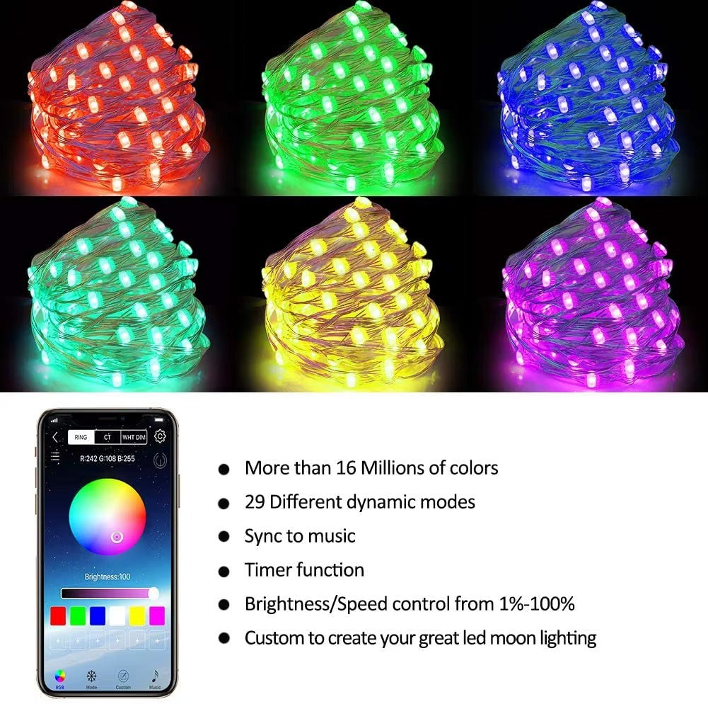 Multi-specification APP Controlled Christmas Lights Indoor USB Rechargeable LED Light Strings for Decar